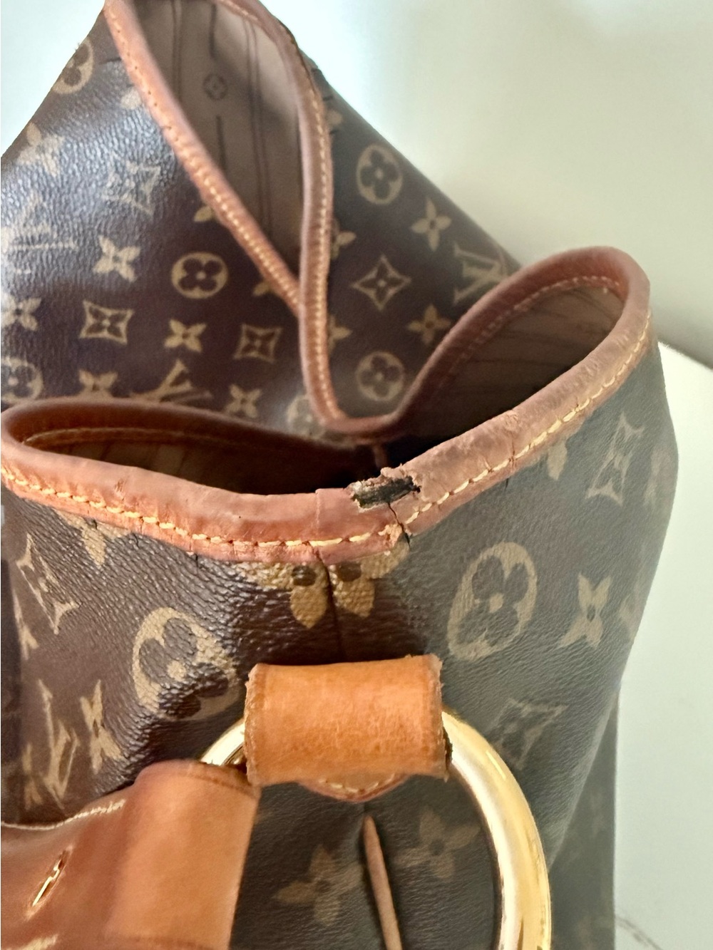 Louis Vuitton Delightful MM Monogram Shoulder Bag - Discontinued - Picture 11 of 15